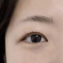 [고양] 화정동 속눈썹펌 리아스뷰티 딥블랙펌 추천