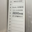 강남역피부과 리쥬엘의원 엠보눈썹 솔직후기 ✨