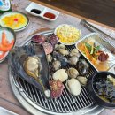 낭만조개 이미지