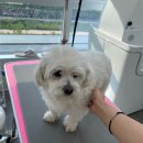로미오미용실 이미지