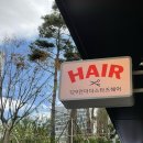 129언더더스타즈헤어