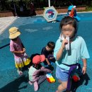 처음, 태권도장 이미지