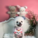 양덕동275 이미지