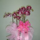 (주)정성식품 이미지