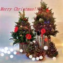 원주교동초등학교 이미지