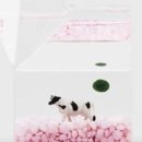 테드박스(TEDBOX) 이미지