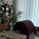 미소케어 | 미소맘 산후케어 용인 출장 산후마사지 후기