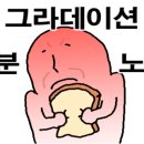 불닭볶음탕 이미지