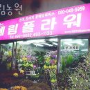 경춘농원 이미지