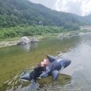 선녀랑 백담이랑 2 이미지