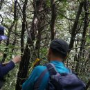 태봉산.택결산(410m).살매등산.각산.안산.공재봉(372m).당산(414m).장돌배기(582)참나무산(518m)/경북 청도 이미지