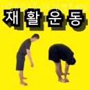 더블유핏 이미지