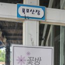 강당골대동계 이미지
