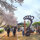 도산레포츠