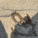 금진마트 이미지