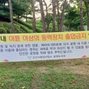 맑음터공원 캠핑장 이미지