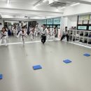 용인대금메달태권도 이미지