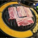 신마포갈매기 이미지