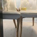 역전할머니맥주경산사동점 이미지