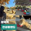 팜랜드02 | 경기도 5월 가볼만한곳 안성팜랜드 할인 입장료 카트 유모차