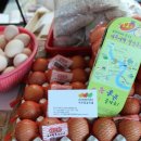 여주-1119 이미지