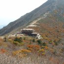 내서농협 앞 이미지