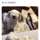 농업회사법인주식회사 식물감각 | 젊은 토우지가 만든 새로운 니혼슈의 흐름 아카부·아베·히란💫