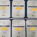 2023 유로매쓰사이언스 아시아대회 후기