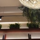 키친 103 이미지