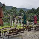 숲을 그리다 이미지