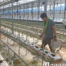 김산농장 이미지