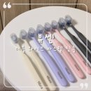 파스텔 | 내돈내산 뷰센 더블 와이드 파스텔 칫솔 사용 후기