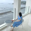 블랑도도 이미지