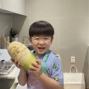 🦑은우의 무&amp;배추 요리🥪 이미지