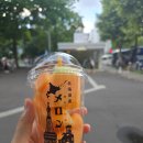 피어하우스나무(PEERHAUS) | [일본/삿포로] 훗카이도 비에이 후라노 버스투어 후기