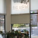 남국의파초 이미지