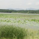 사근달 Daum카페