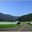 보현산 약초마을 이미지