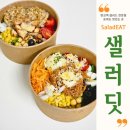 판교역 샐러드 맛집 샐러딧 메뉴 오랜만에 포장한 후기