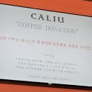 칼리유