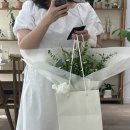 온화스레 이미지