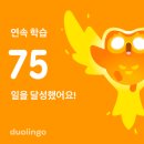 11590-나210-2 | [일주일글 #210] 멈춰서 있고 싶지 않아 - 3월 2주의 글