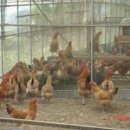 구암농장 이미지