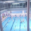 스타트 - 수원시 영통구 매탄로 170 | 울산수영개인강습 수영스타트다이빙수업 휘폴수영장 내돈내산후기