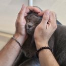 해정약국 이미지