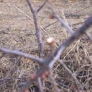 정호2농장 이미지