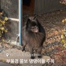 삼형제농장 이미지