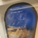 인청 공항 출국-캄보디아 프놈펜 공항, 대한항공 이코노미 좌석 이용 기내식 후기