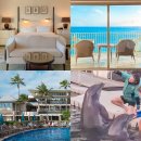 MD 골프카페 | [공지] 하와이 신혼여행 숙소 추천 더 카할라 호텔 조식 돌고래 와일레아 골프