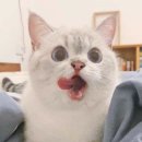 세이PC방 이미지